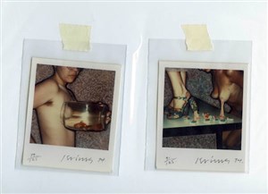 Image description is not available for 2010.022